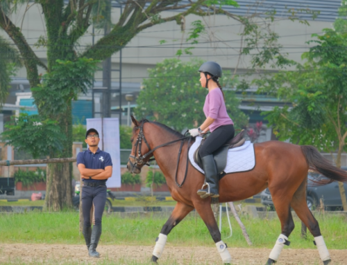 Espaço para seus cavalos