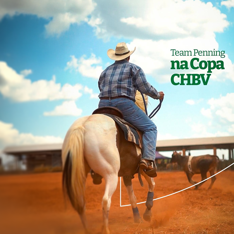 Copa CHBV 2025 Etapa 1 Team Penning