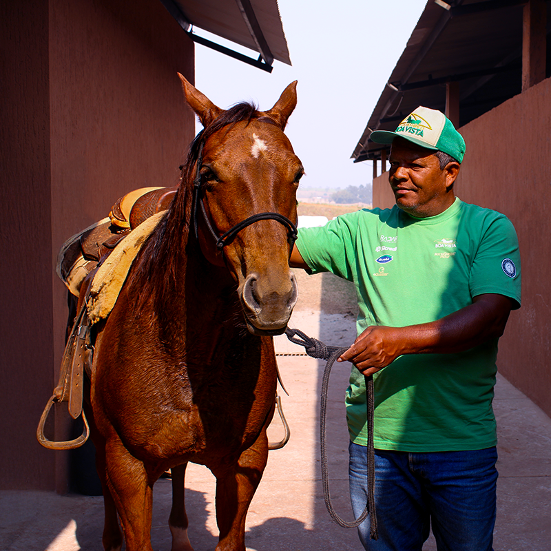 Treinador Nani Uma cavaleira montada em um cavalo branco, troteando em um espaço aberto. A cavaleira usa um capacete e roupas de equitação, enquanto ao fundo há uma construção histórica e árvores bem cuidadas.
